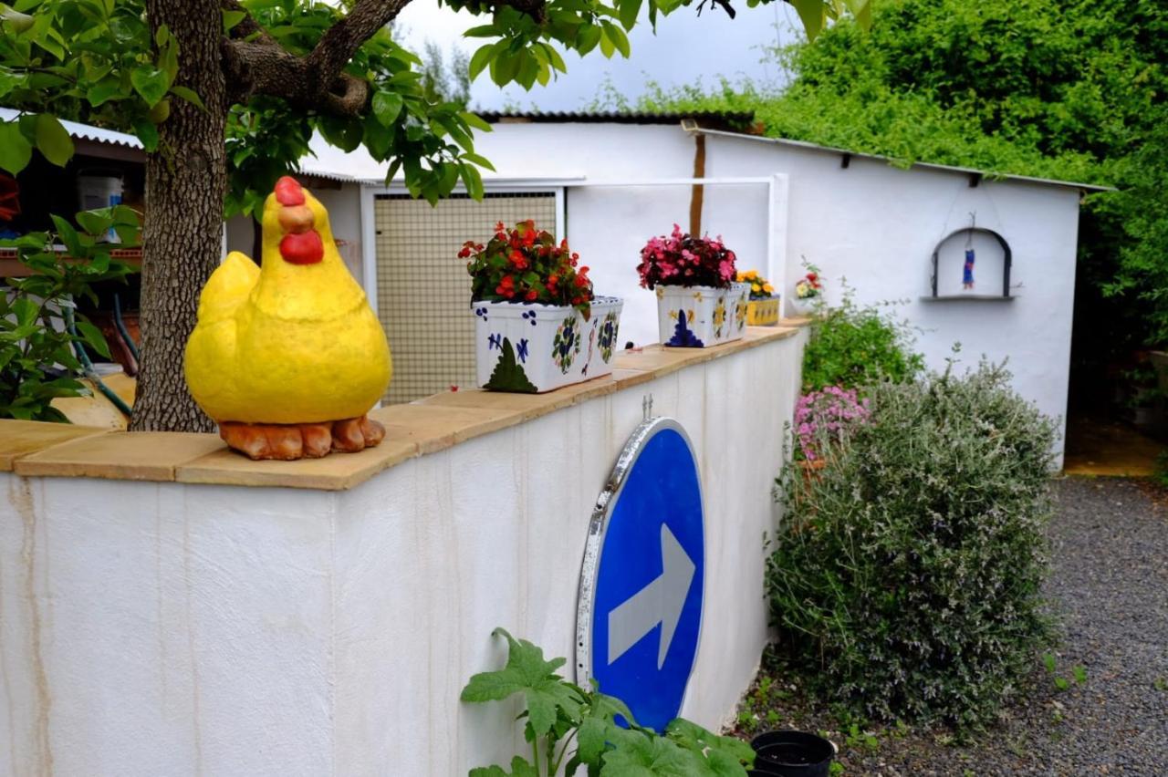 فيلا The Shed Cehegín المظهر الخارجي الصورة